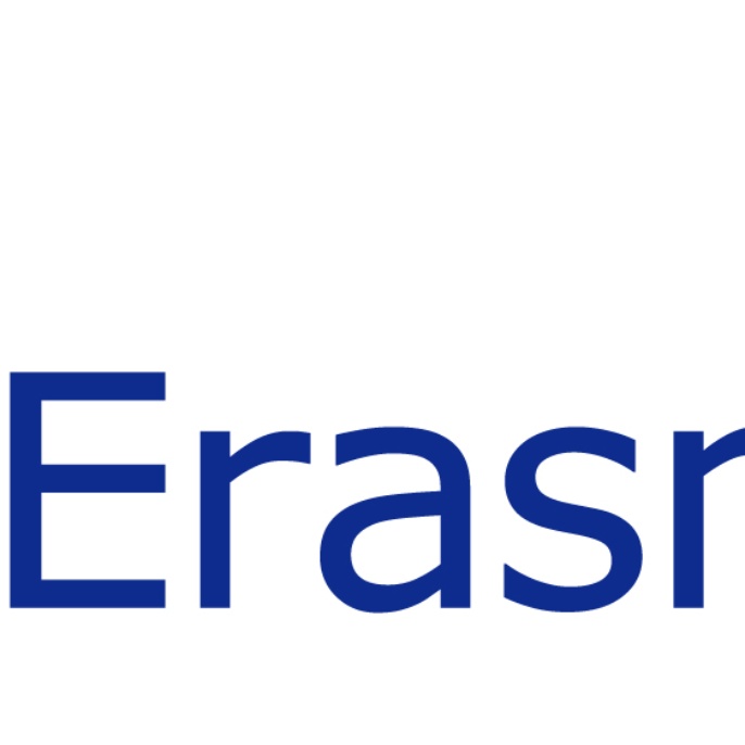EU flag-Erasmus _vect_POS
