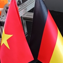 Deutsche und vietnamesische Flagge