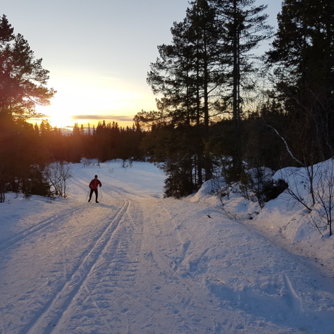 Langlauf in Norwegen