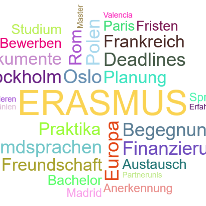 ERASMUS-Auslandsaufenthalte