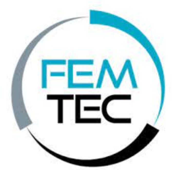 Femtec-Logo