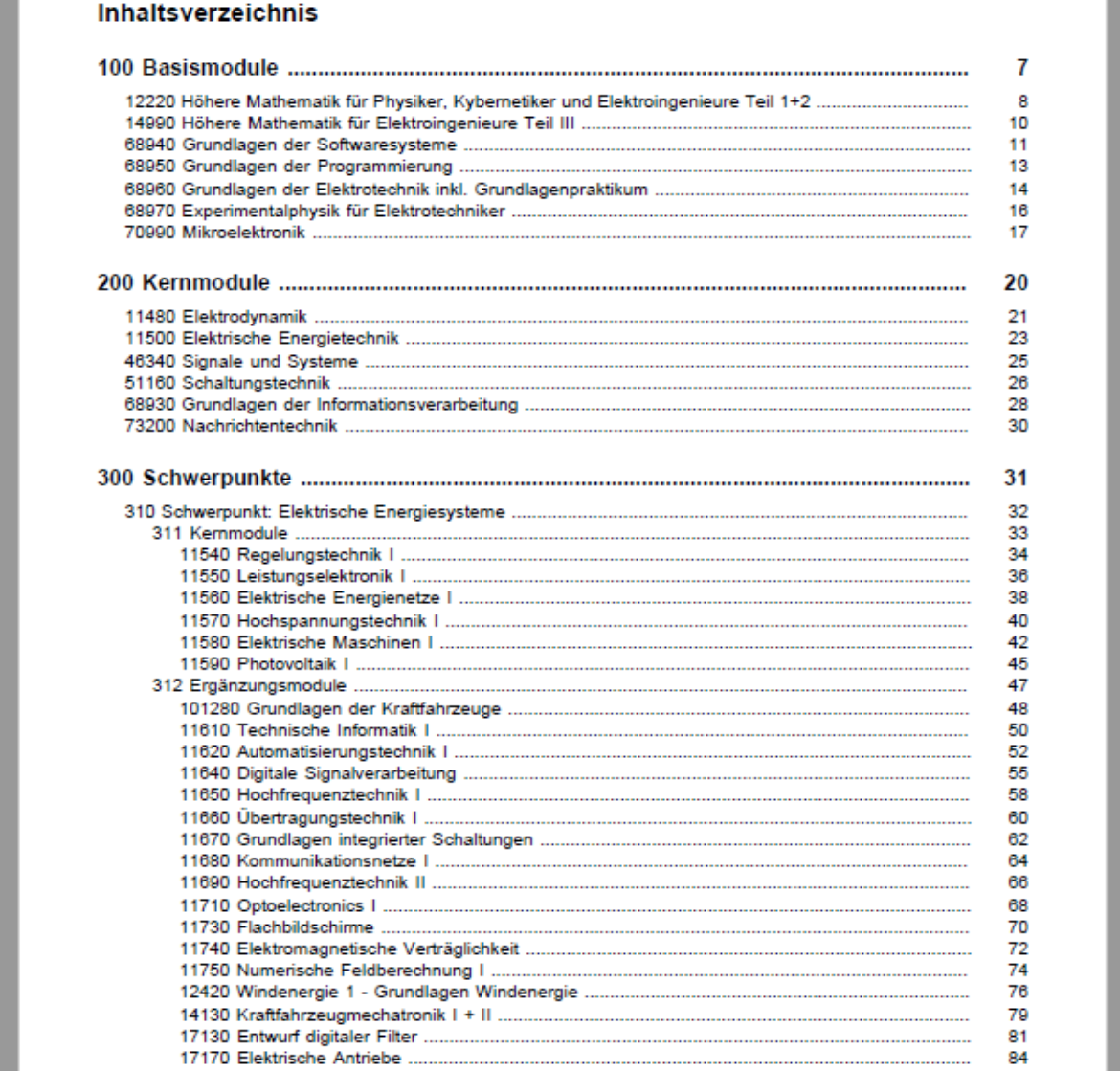 Modulhandbuch als PDF